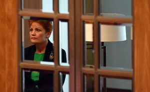 Cultural as much as economic factors drive Australia's outsider party - 'One Nation'