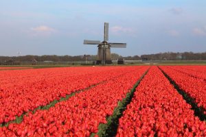 Environmentally-friendly farming doesn’t have to be technologically backward