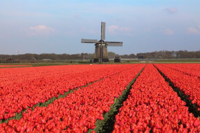 Environmentally-friendly farming doesn’t have to be technologically backward