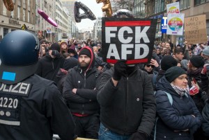 The German hard right's immigration fixation is missing the point