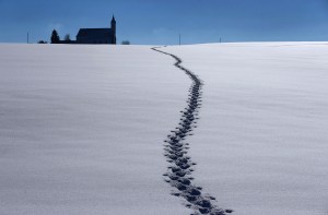 "Sneckdowns" and desire lines: A parable for the big data age