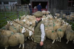 The battle for Britain's countryside – the other Brexit debate