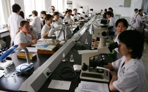 Should we edit genes to boost IQ?