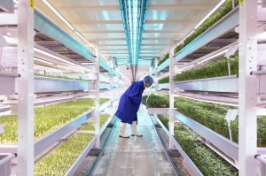 Why high-rise farms could save the world