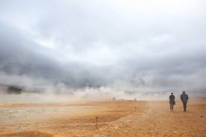 What will survive global warming?