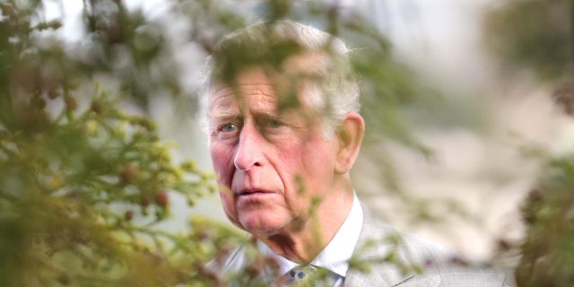 Introducing Charles III