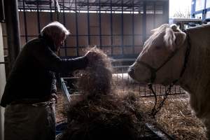 Why French farmers are plotting revolution