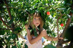 Why child labour beats school