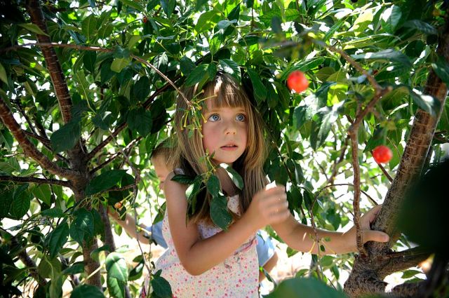 Why child labour beats school