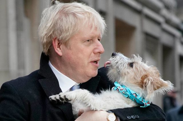 Prime Minister Boris Johnson with Dilyn. Credit: Christopher Furlong / Getty