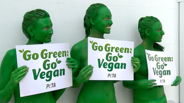 If we move from treating animals as the basic resource in the manufacture of junk food to treating ‘cells’ in the same way, the system does not change