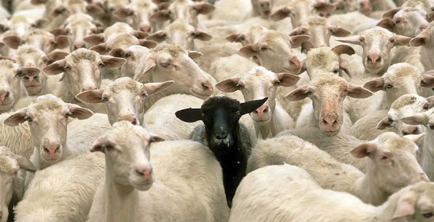 All but the most contorted Christian perspectives would affirm that the notion of making humans ‘better’ via selective breeding is nonsensical