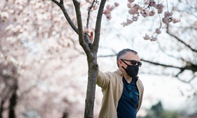 The bright side of death