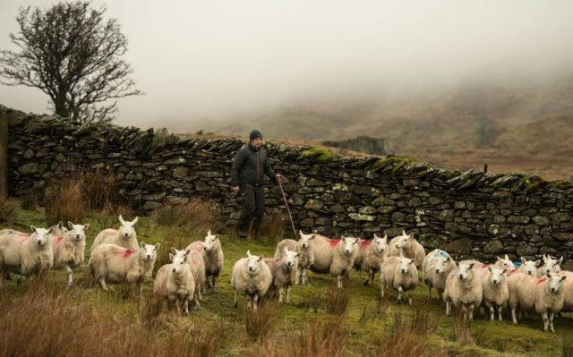 Why doesn’t Britain value its farmers?