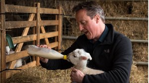 David Cameron was right about one thing