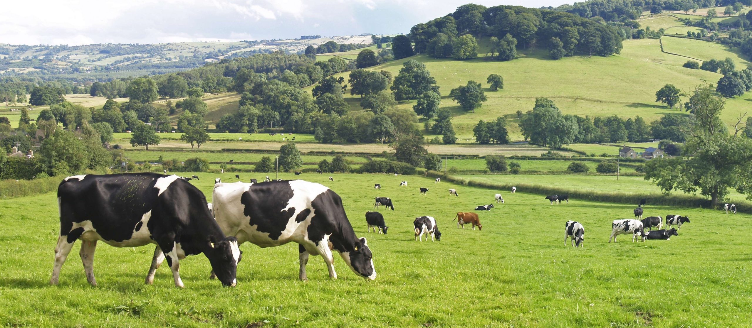 Divergence from the EU’s Common Agricultural Policy represents a significant opportunity for change in the government’s approach to UK farming