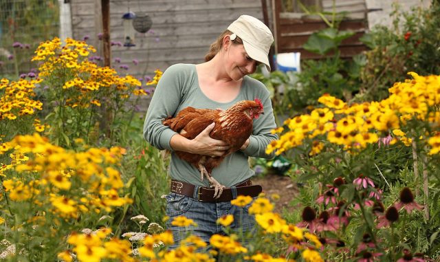 So you want to quit the rat race