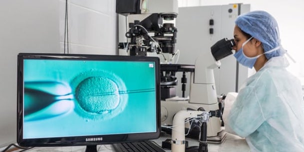 A technician injects sperm into an egg cell during IVF.