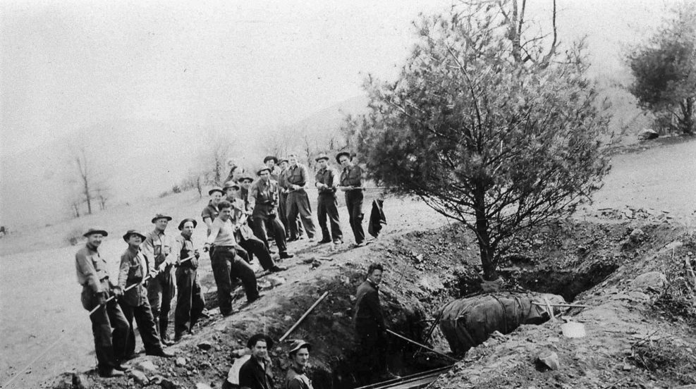 A CCC crew transplanting a tree. Credit: National Park Service