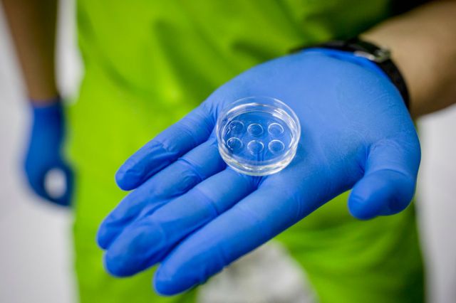 Is egg-freezing a scam?