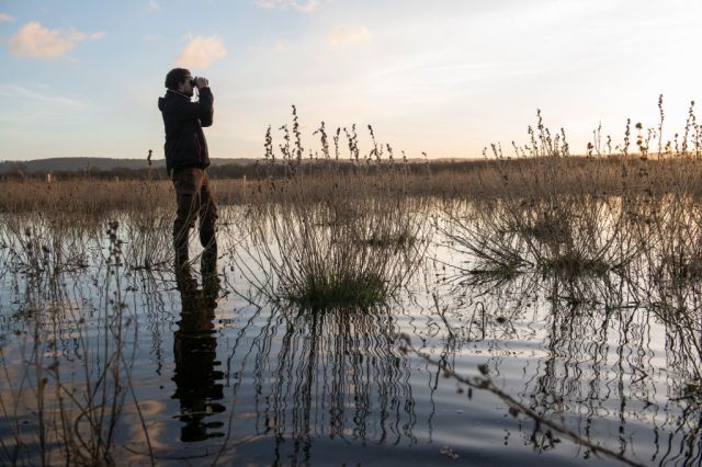 Why is nature writing all about egos?