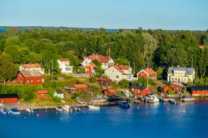 What we can learn from the Swedish paradox