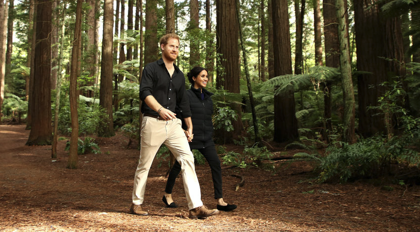 Prince Harry said that "being in nature is the most healing part of life