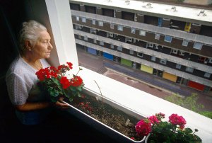Lockdowns don't protect the elderly