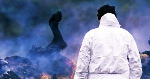 What we didn't learn from foot and mouth