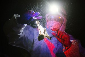 The WHO's Covid shame