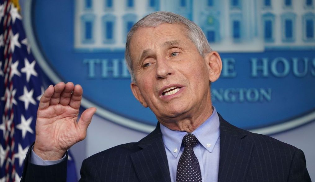 Director of the National Institute of Allergy and Infectious Diseases Anthony Fauci. Credit: Getty