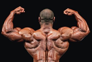 Don't blame testosterone for male violence