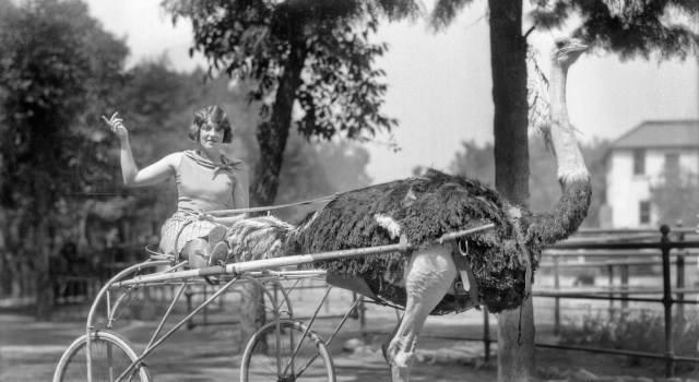 Activists aren’t what they used to be