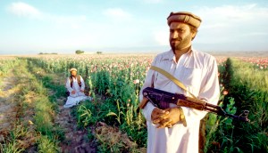 Heroin will decide the Taliban's fate