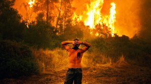 How to survive our tragedy