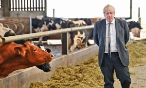 Boris Johnson is no green superhero