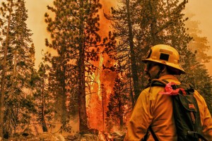 Climate change is no catastrophe