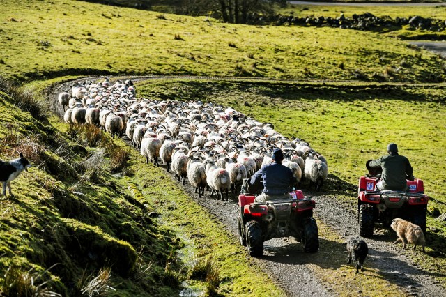 Why I am fleeing to the hills