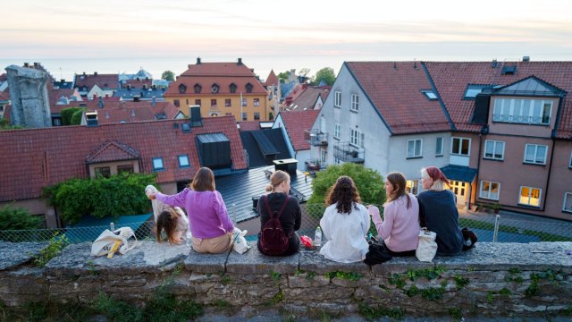 How Sweden swerved Covid disaster