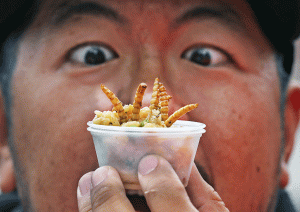 Why we'll end up eating bugs