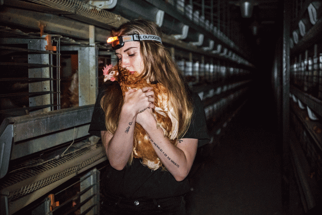 What vegan propaganda ignores