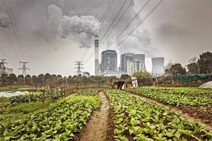 How long can humans survive?