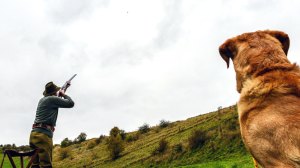 The countryside case for Veganuary