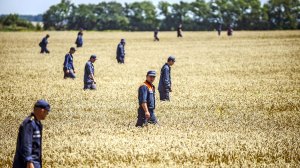 Wheat has corrupted humanity