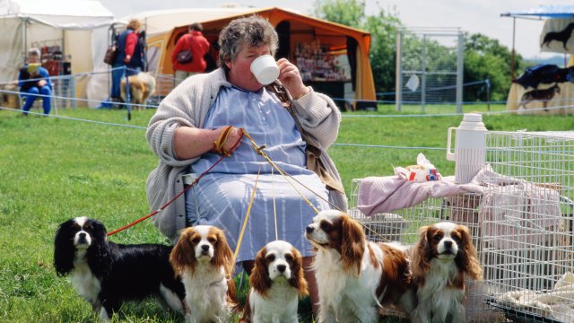 Stop calling yourself a dog parent