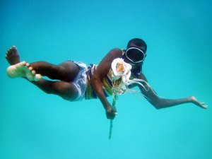 Octopus farms are the future