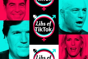 Why Libs of TikTok terrifies the media