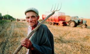 Putin's plan to starve the world