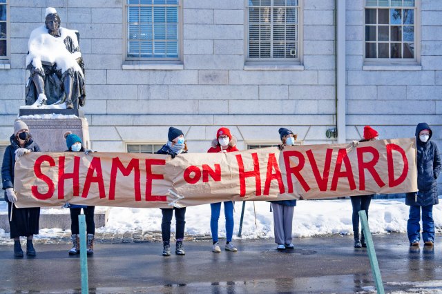 Even Harvard was a start-up once (Vanessa Leroy/Bloomberg via Getty Images)