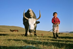 The fate of Europe lies in the steppes